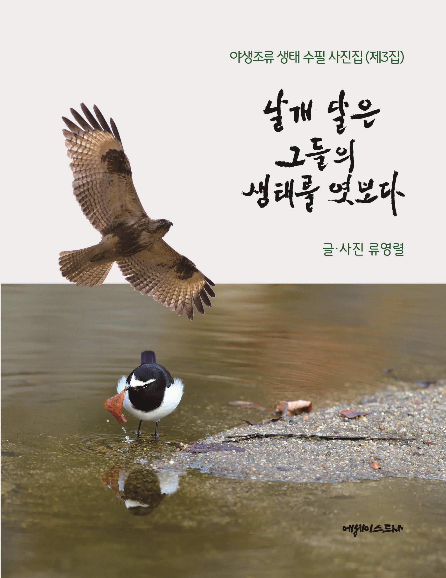 날개 달은 그들의 생태를 엿보다