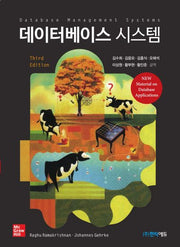 데이터베이스 시스템(3판)