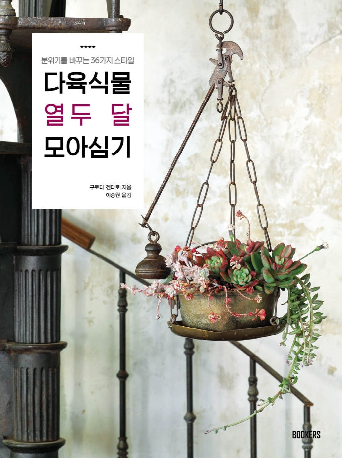 다육식물 열두 달 모아심기