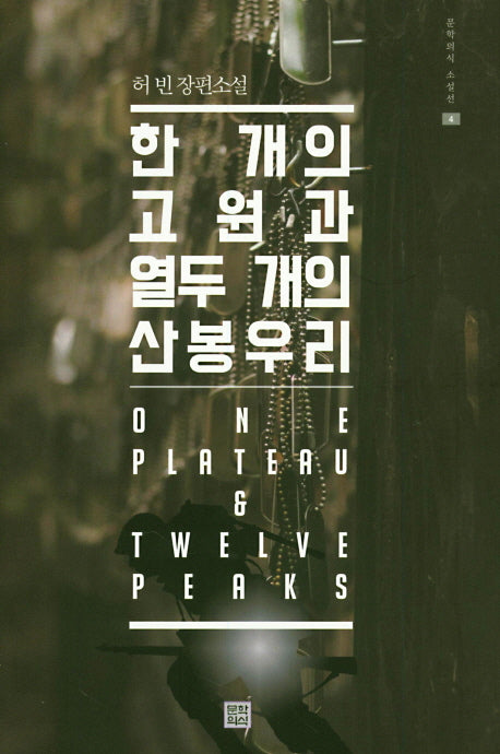 한 개의 고원과 열두 개의 산봉우리(문학의식 소설선 4)