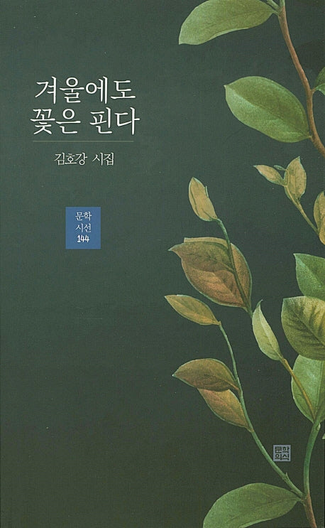 겨울에도 꽃은 핀다(문학시선 144)