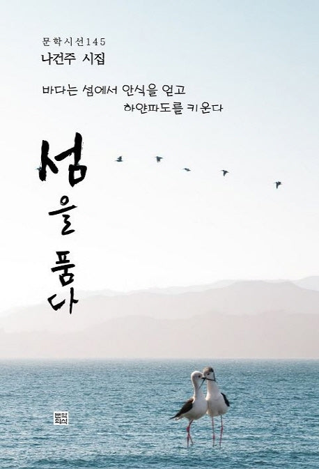 섬을 품다(문학시선 145)