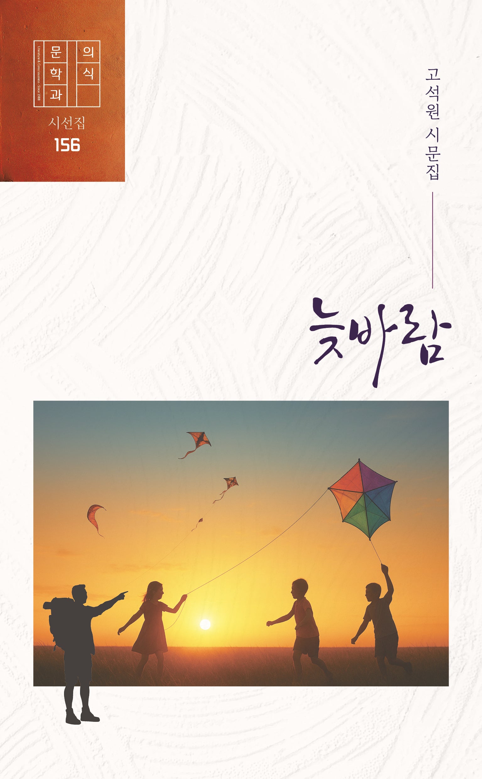 늦바람(문학과 의식 시선집 156)
