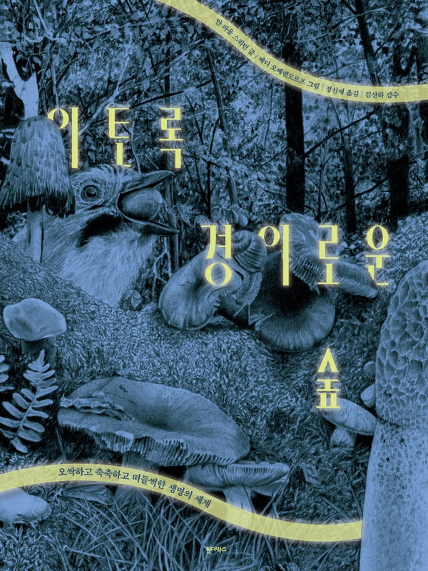 이토록 경이로운 숲(양장본 Hardcover)