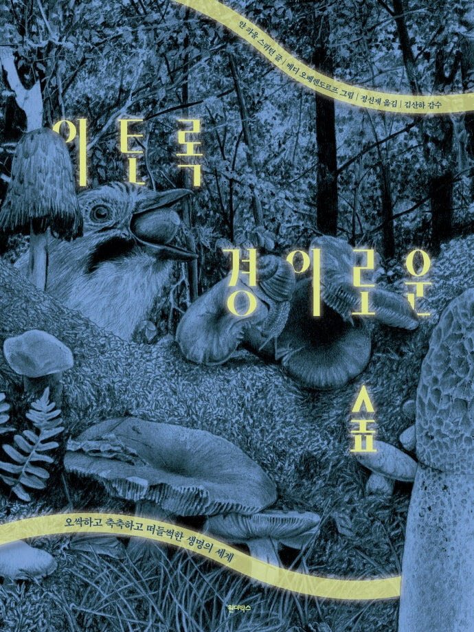 이토록 경이로운 숲(양장본 Hardcover)