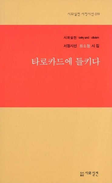 타로카드에 들키다(시와실천 서정시선 19)