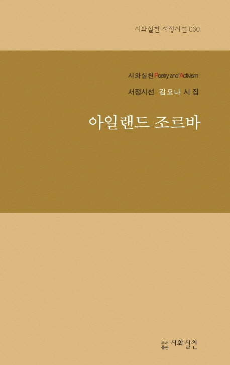 아일랜드 조르바(시와실천 서정시선 30)