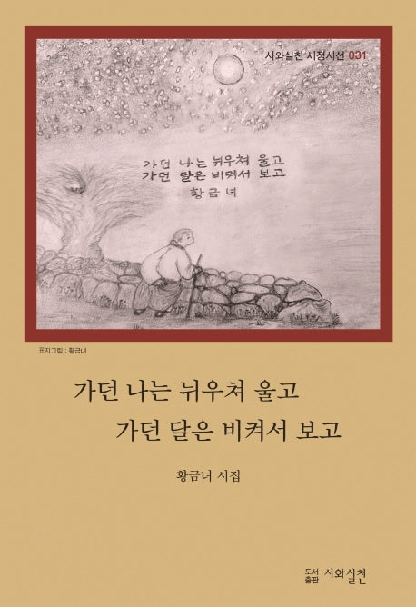 가던 나는 뉘우쳐 울고 가던 달은 비켜서 보고(시와실천 서정시선 31)