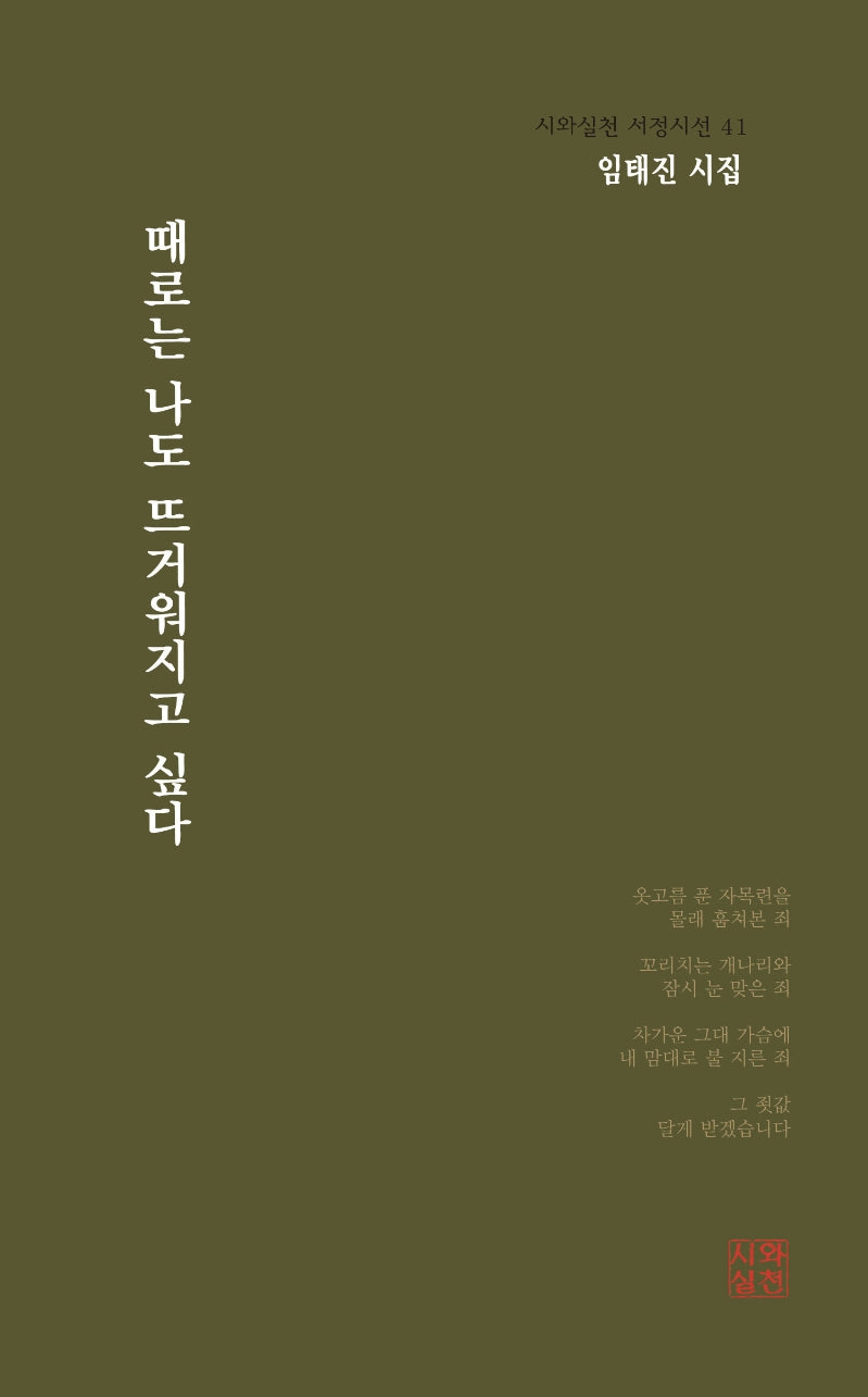 때로는 나도 뜨거워지고 싶다(시와실천 서정시선 41)