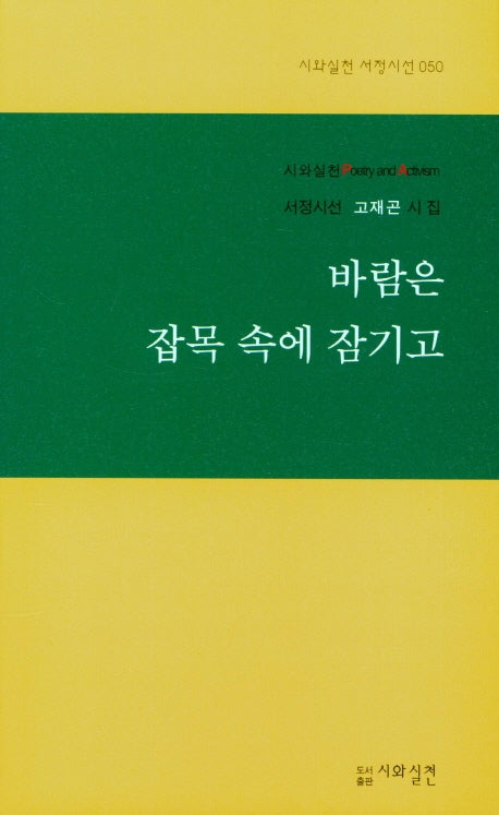 바람은 잡목 속에 잠기고(시와실천 서정시선 50)