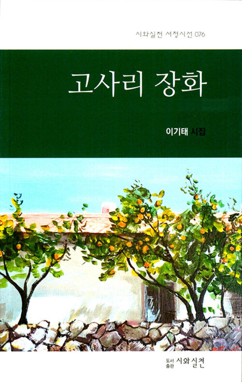 고사리 장화