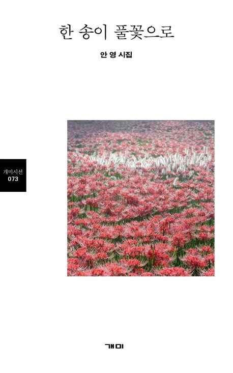 한 송이 풀꽃으로(개미시선 73)