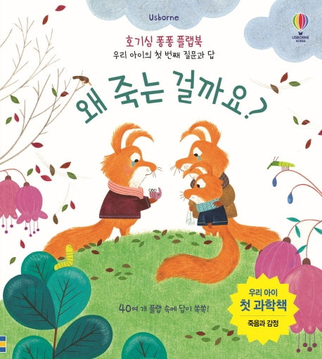 왜 죽는 걸까요?(Usborne)(호기심 퐁퐁 플랩북)(양장본 HardCover)