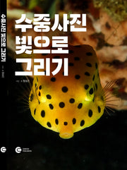 수중사진 빛으로 그리기