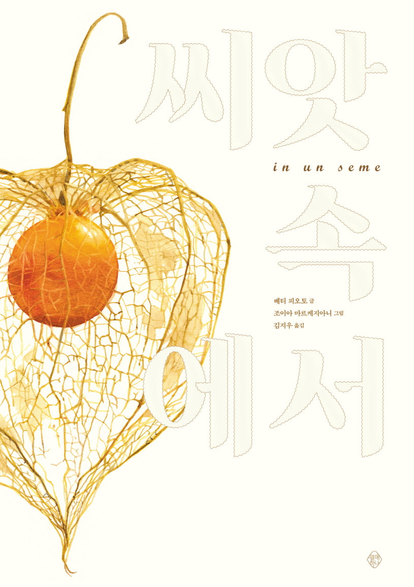 씨앗 속에서(양장본 Hardcover)