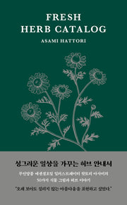 싱그러운 허브 안내서