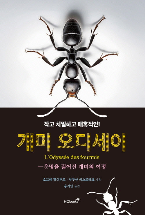 개미 오디세이