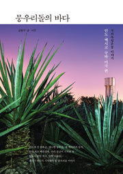 뭉우리돌의 바다(양장본 Hardcover)