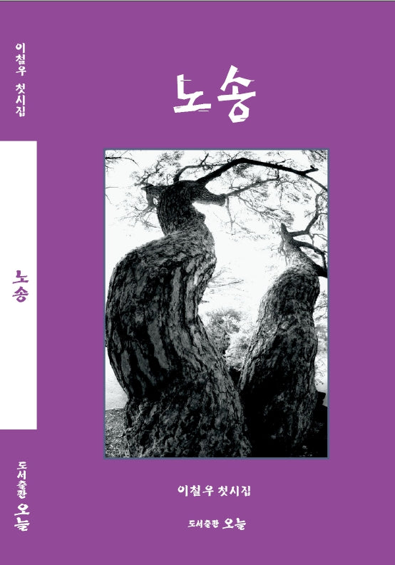 노송
