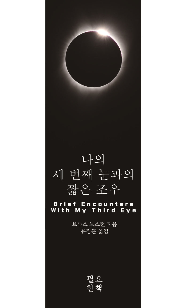 나의 세 번째 눈과의 짧은 조우