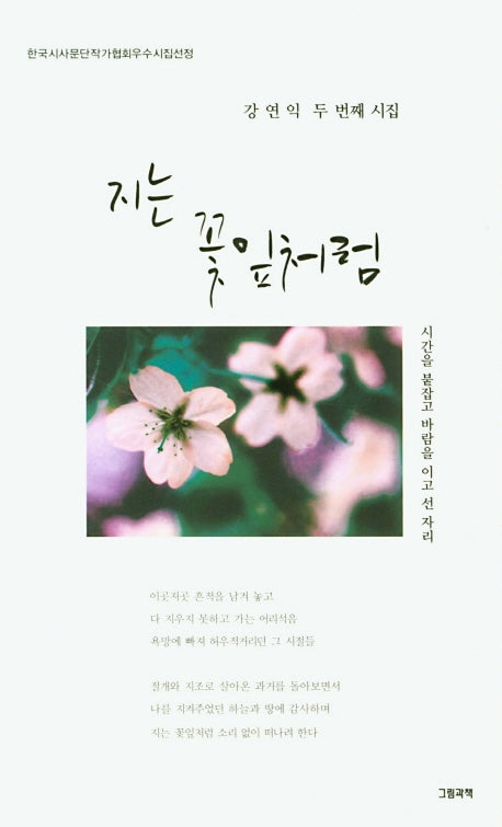 지는 꽃잎처럼