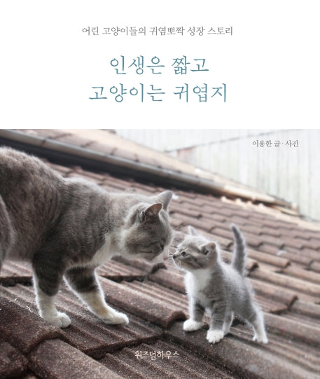 인생은 짧고 고양이는 귀엽지(양장본 HardCover)