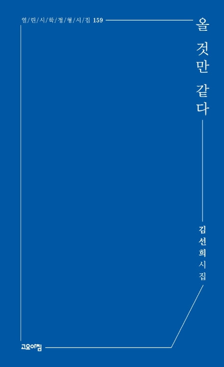 올 것만 같다(열린시학 정형시집 159)