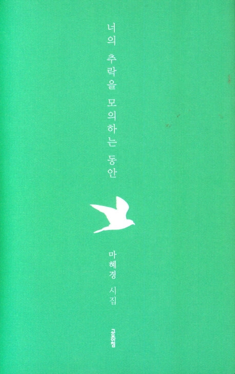 너의 추락을 모의하는 동안(양장본 Hardcover)