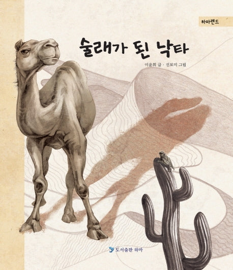 술래가 된 낙타(하마랜드)