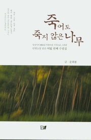 죽어도 죽지 않은 나무