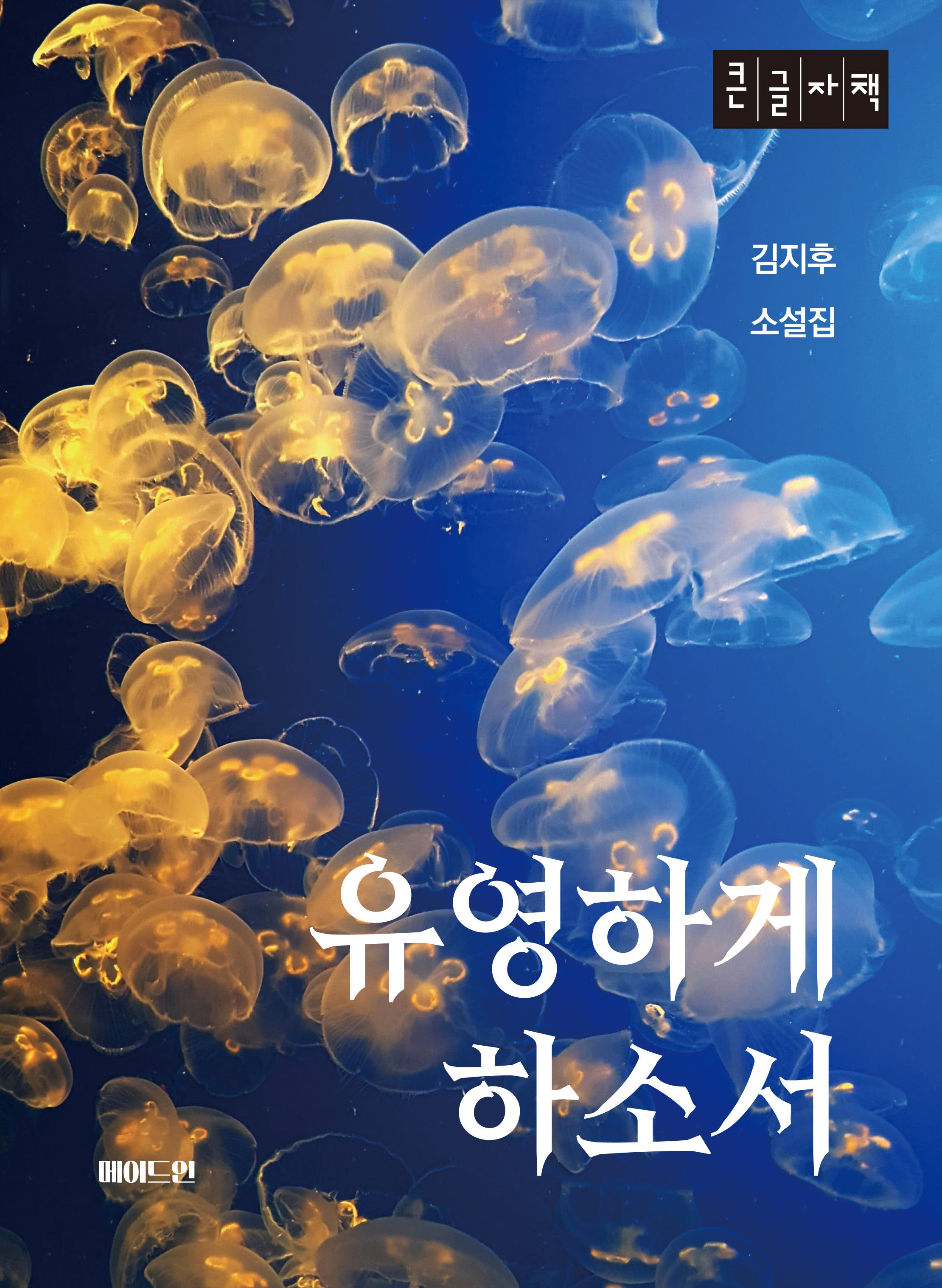 유영하게 하소서(큰글자책)