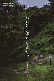 상처는 언젠가 말을 한다(인권운동가 박래군의 한국현대사 인권기행 2)
