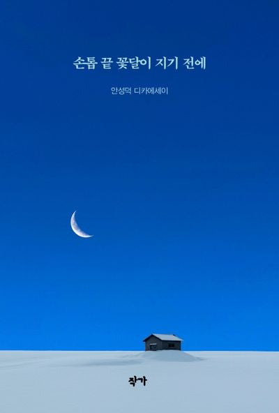 손톱 끝 꽃달이 지기 전에