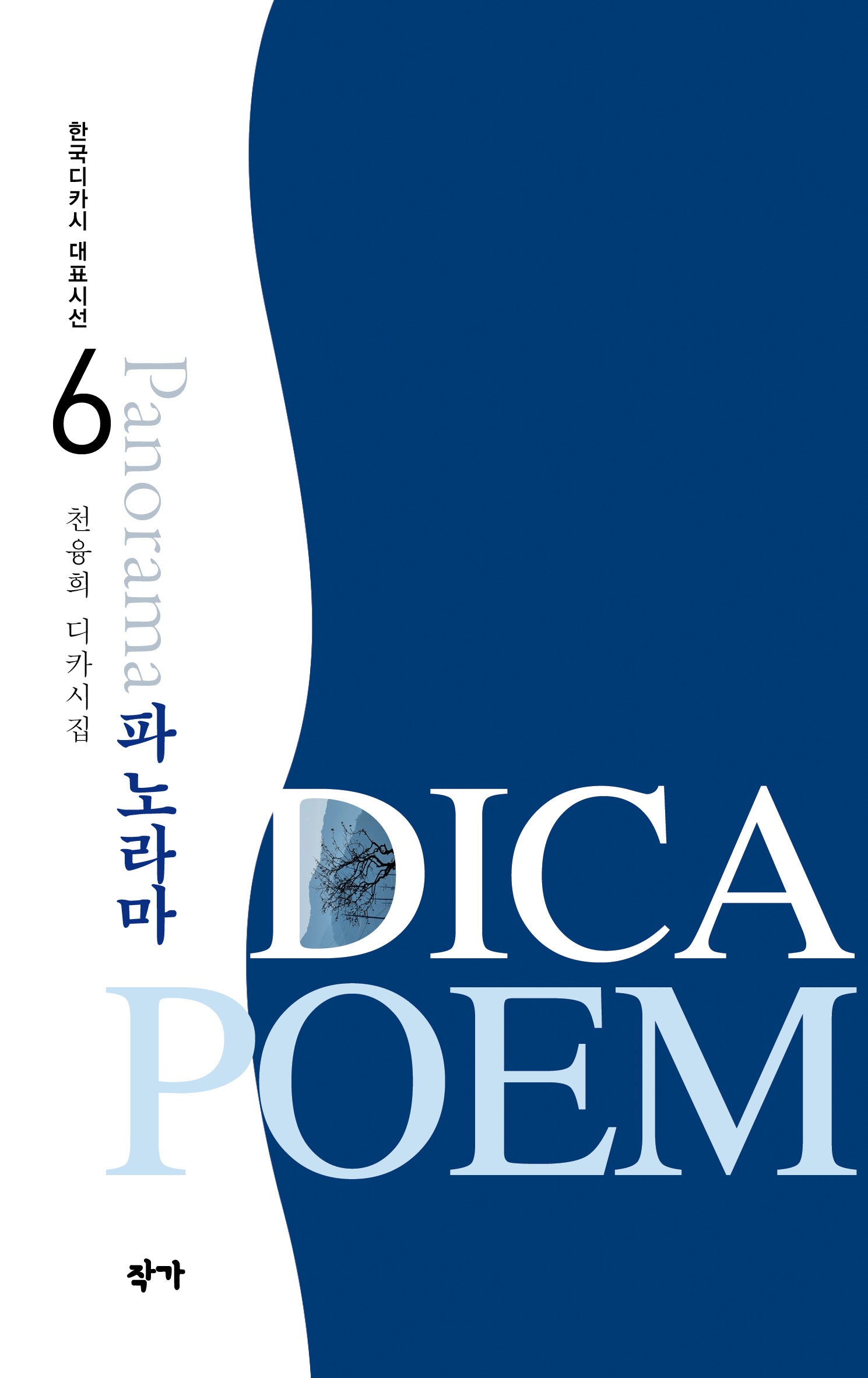 파노라마(한국디카시 대표시선 6)