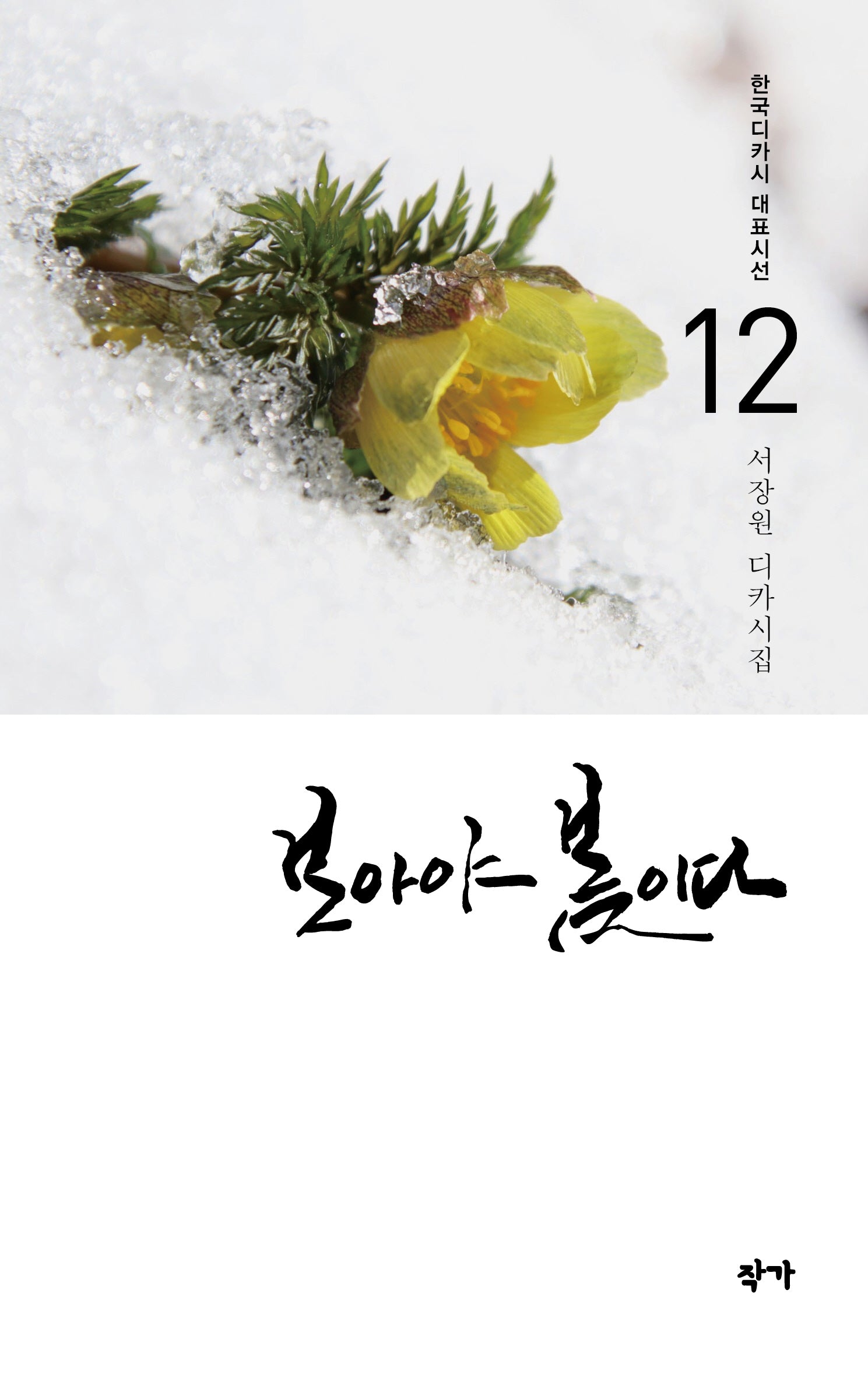 보아야 봄이다(한국디카시 대표시선 12)