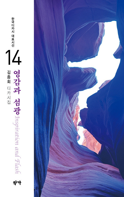영감과 섬광(한국디카시 대표시선 14)