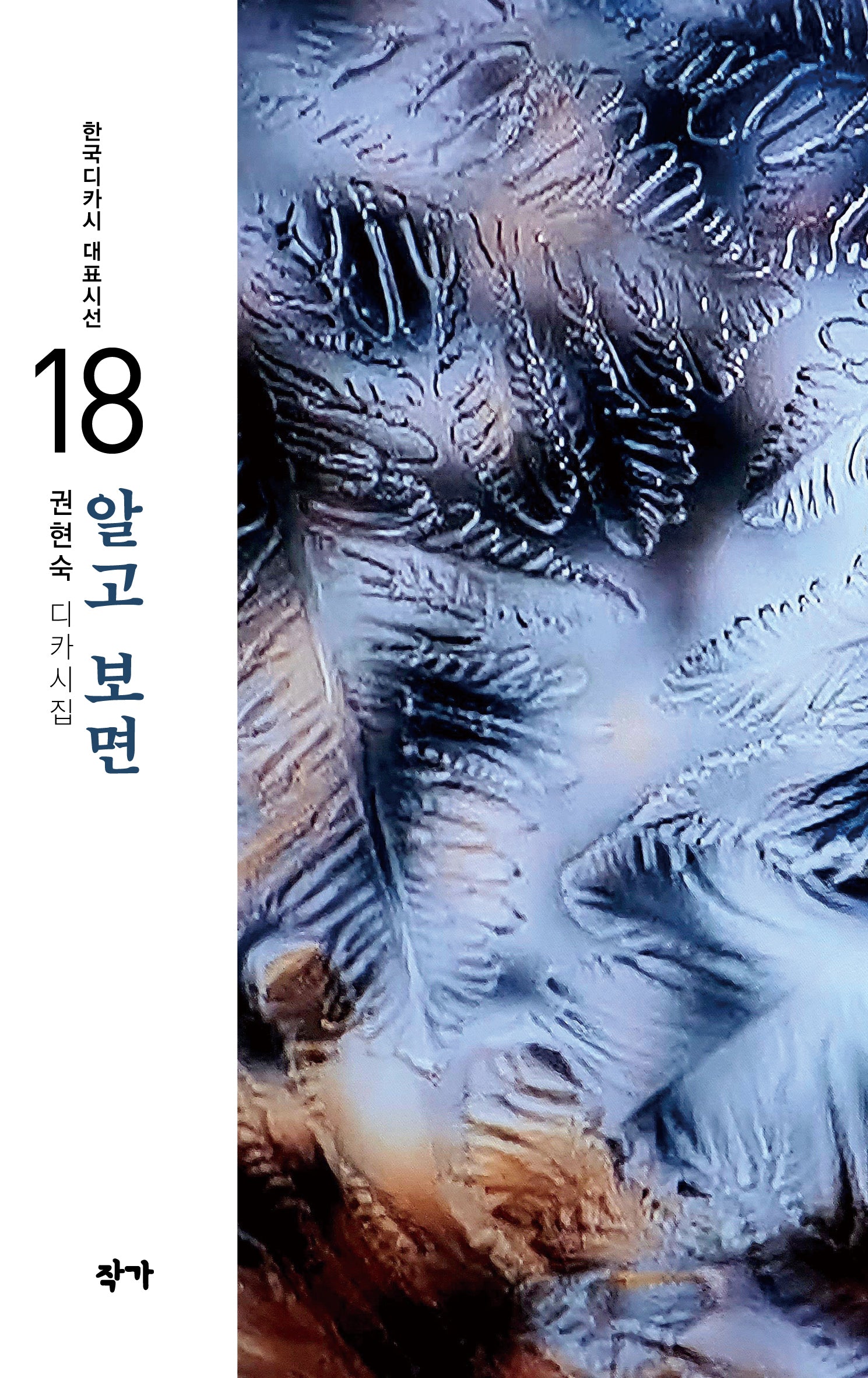 알고 보면(한국디카시 대표시선 18)