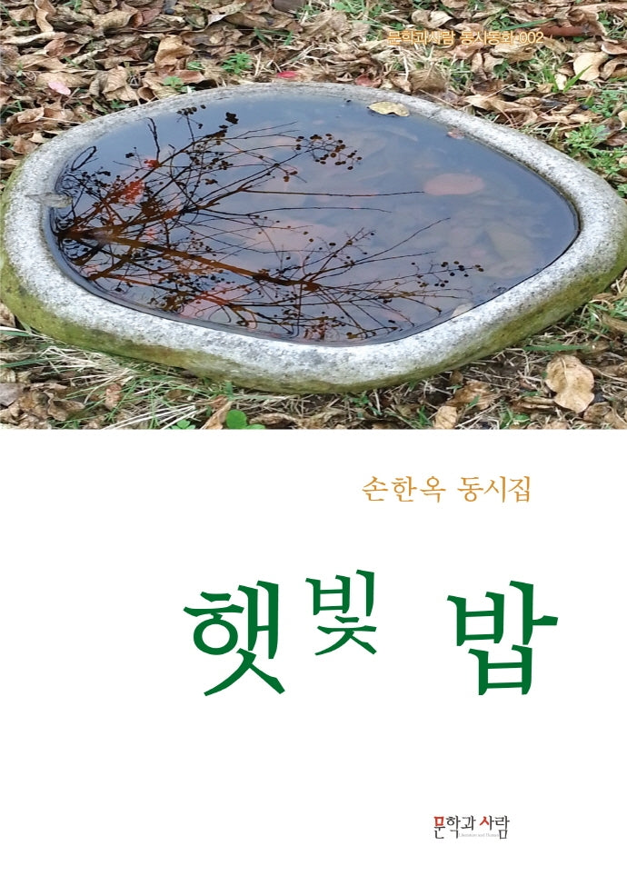 햇빛 밥(문학과사람 동시동화 2)