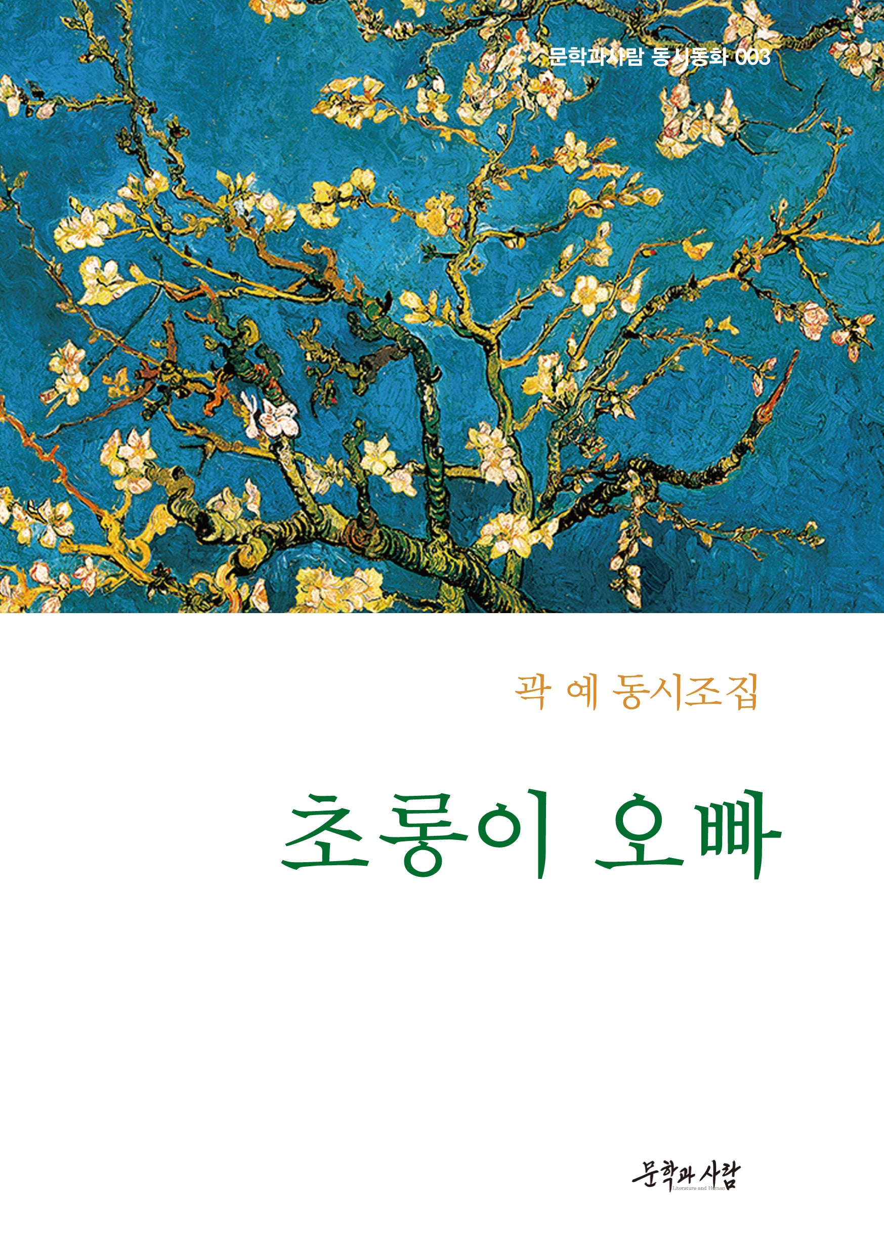 초롱이 오빠(문학과사람 동시동화 3)