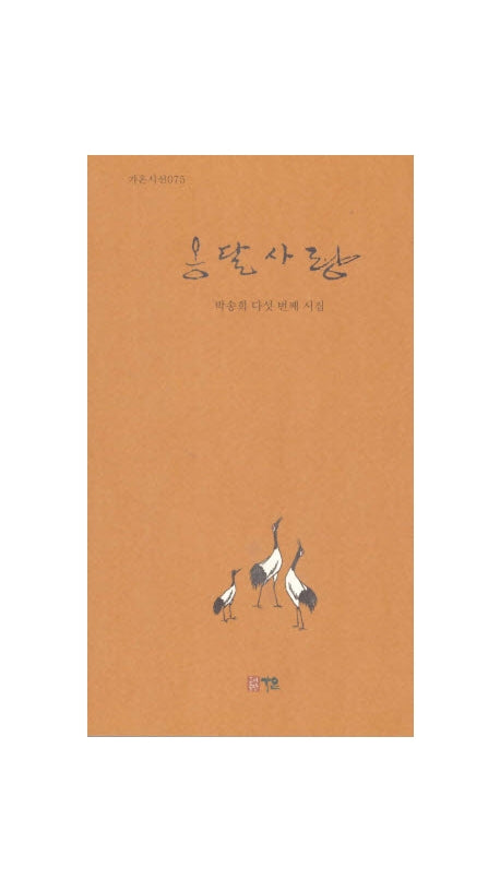 옹달사랑(가온시선 75)