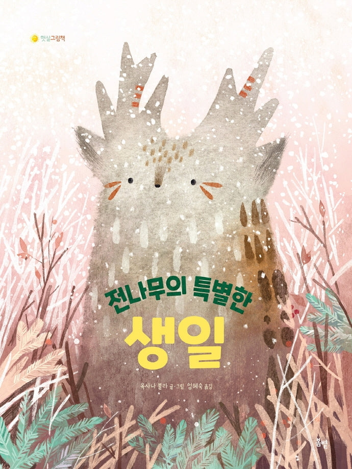 전나무의 특별한 생일(햇살그림책 42)(양장본 Hardcover)