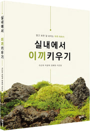 실내에서 이끼키우기