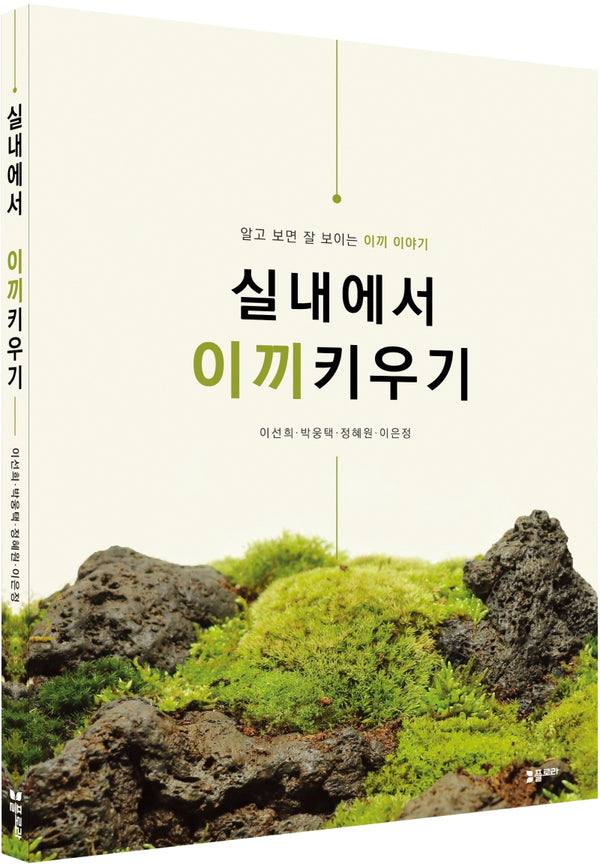 실내에서 이끼키우기