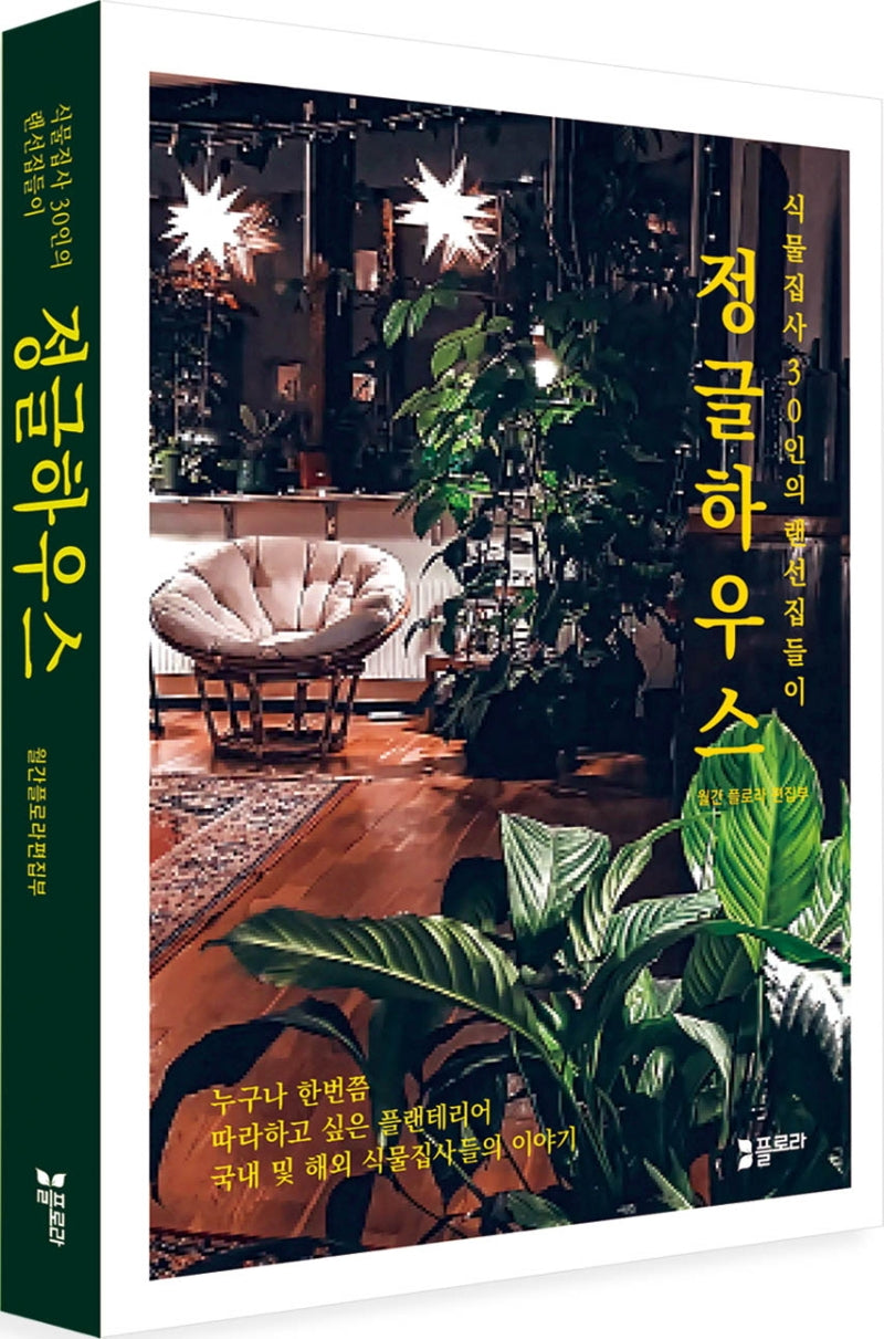 정글하우스