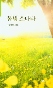 봄빛 소나타(시담시선 12)