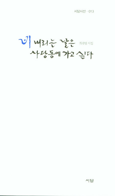 비 내리는 날은 사당동에 가고 싶다(시담시선 13)