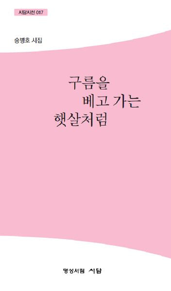구름을 베고 가는 햇살처럼(시담시선 17)