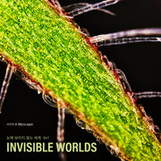 Invisible Worlds Vol.1 눈에 보이지 않는 세계