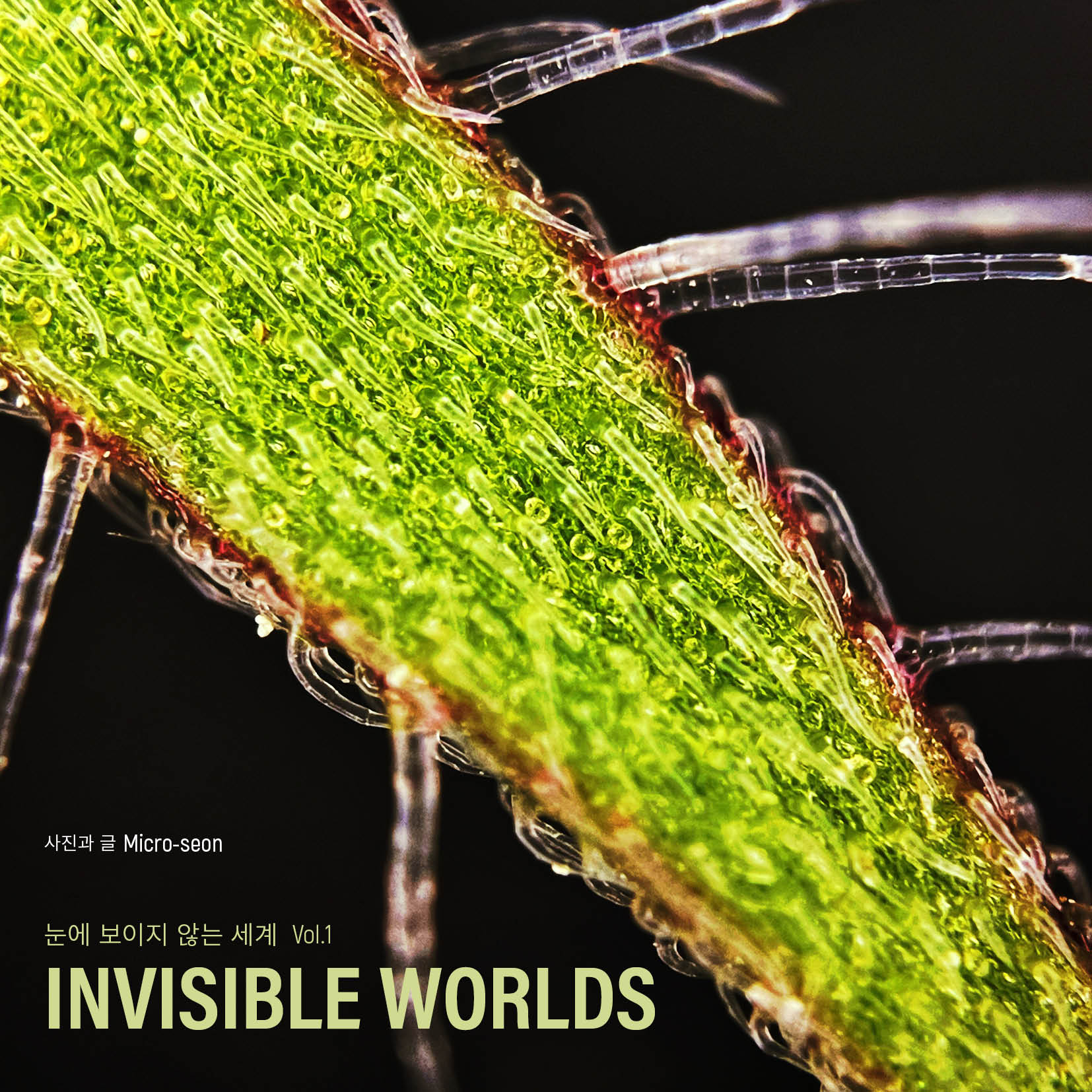 Invisible Worlds Vol.1 눈에 보이지 않는 세계
