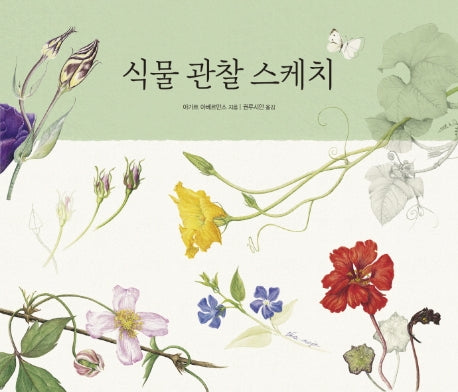 식물 관찰 스케치(관찰 스케치 시리즈)